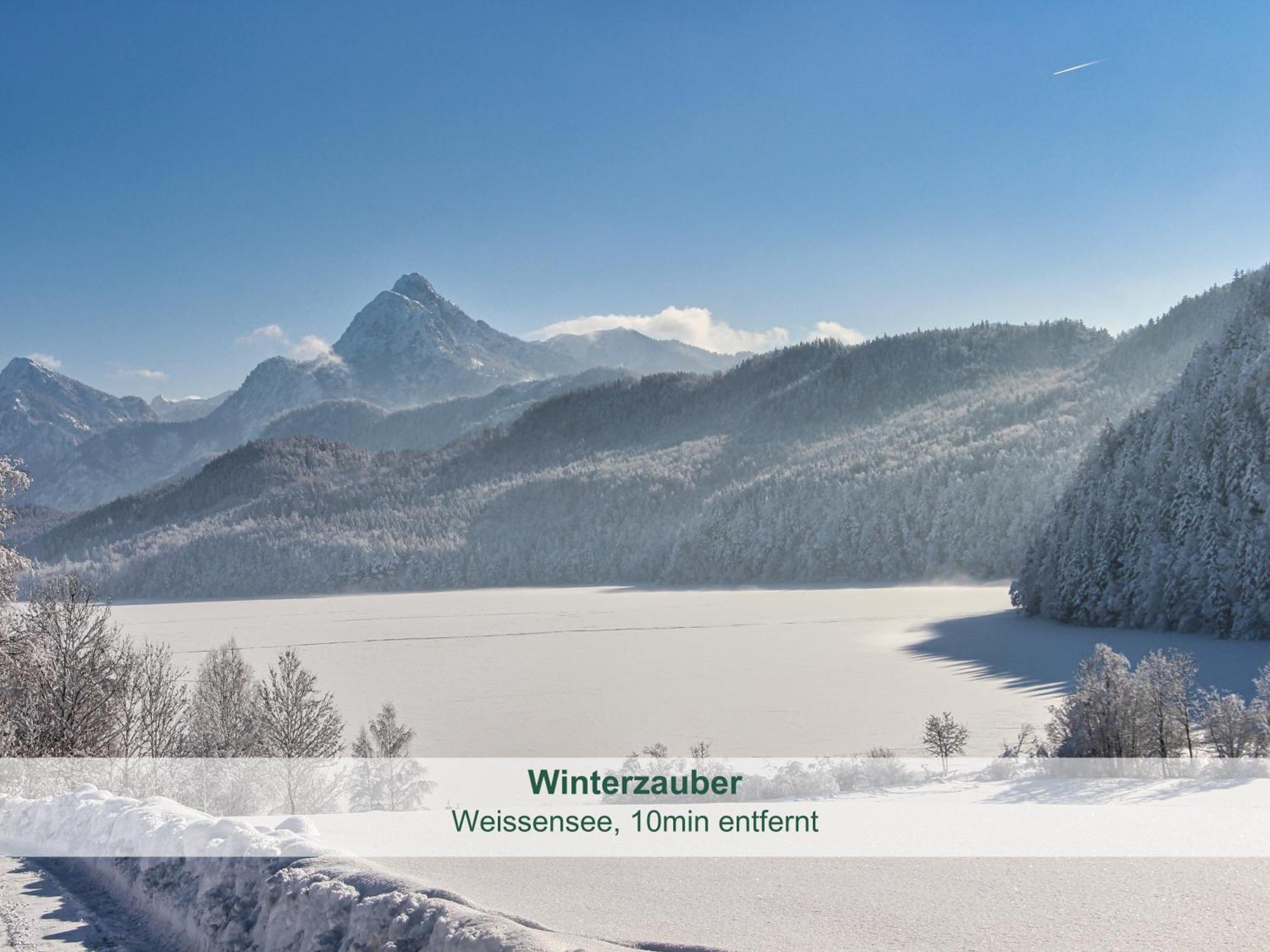 Chalet - Ferienwohnungen - Biohof Stoeger - Panoramasuedbalkon - Grandiose Aussicht Auf See, Berge Und Schloss Neuschwanstein Rieden am Forggensee Exterior photo